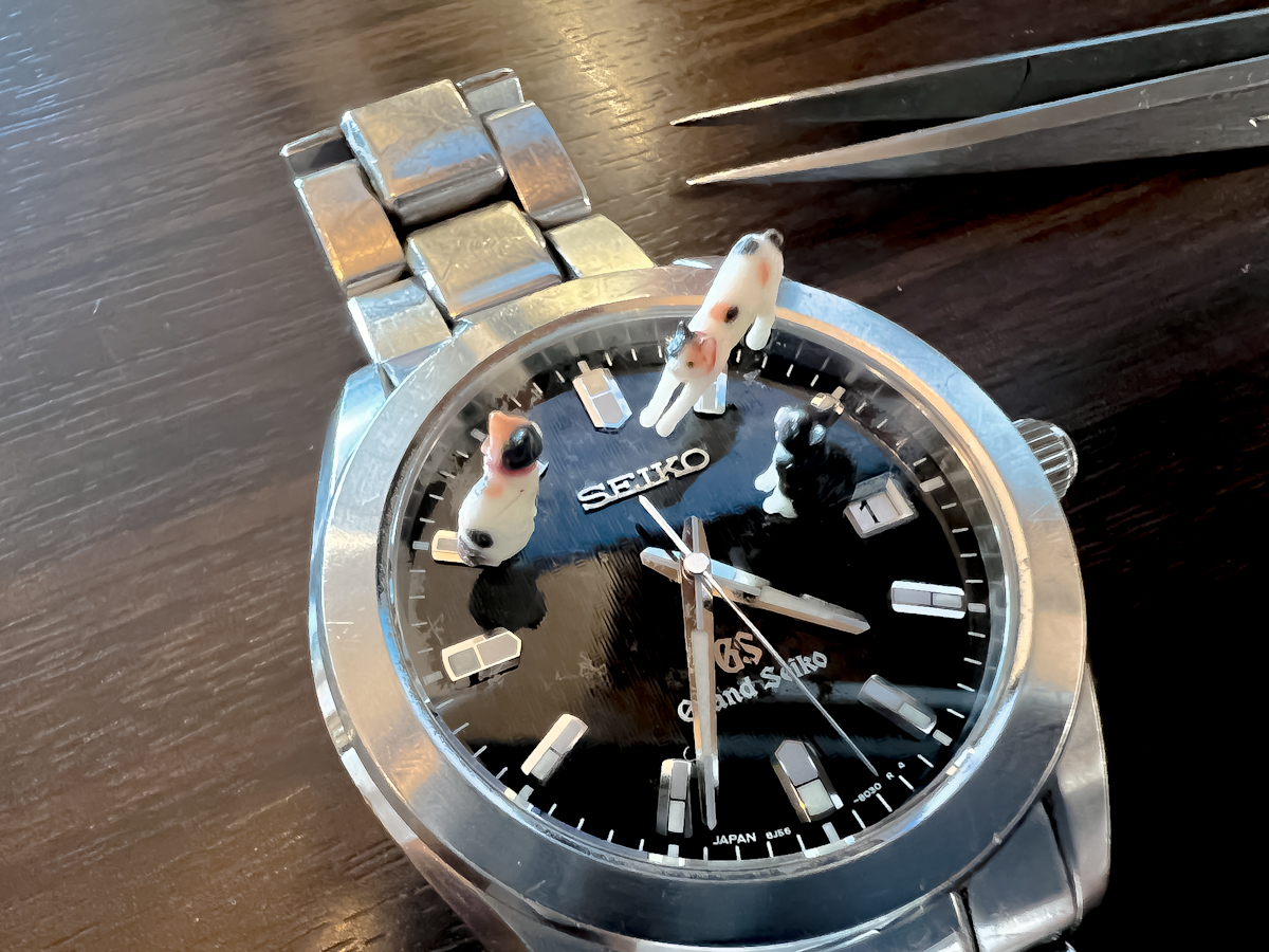 GARANDSEIKO グランドセイコー 時計修理 函南