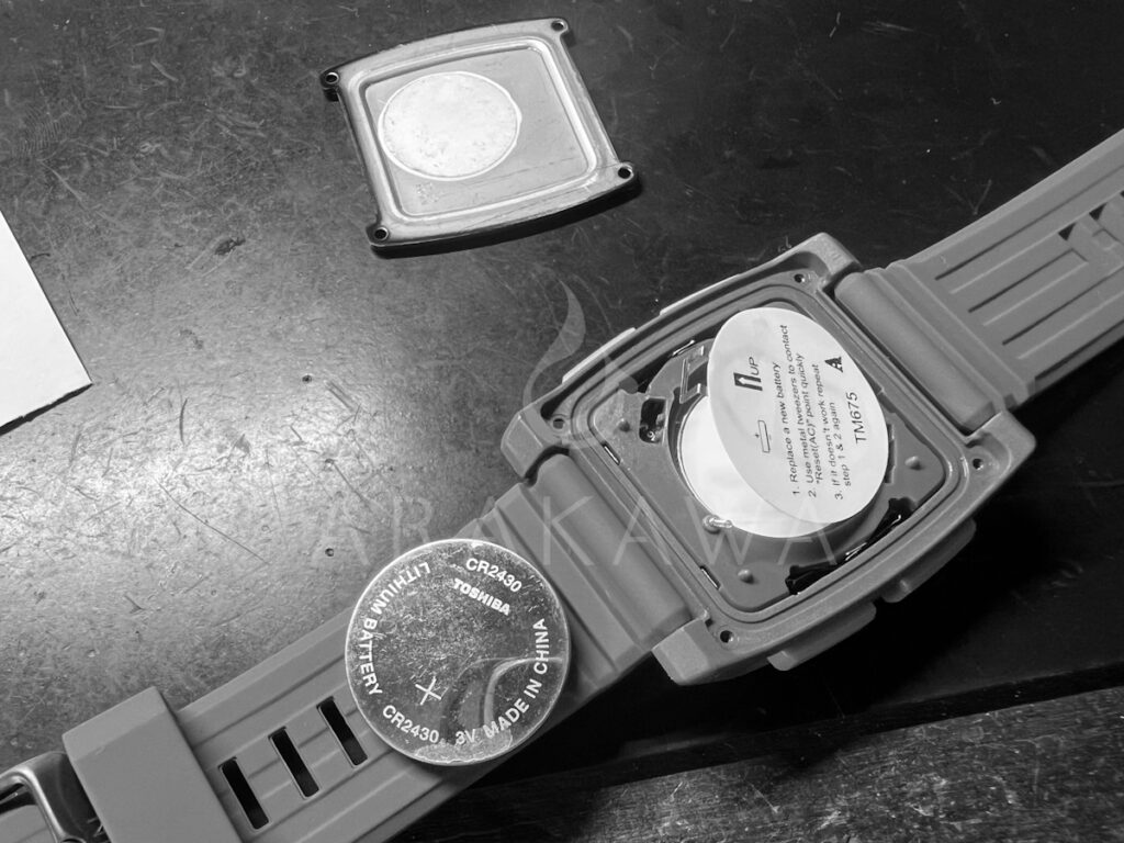 ニクソン
NIXON
BASE TIDE PRO