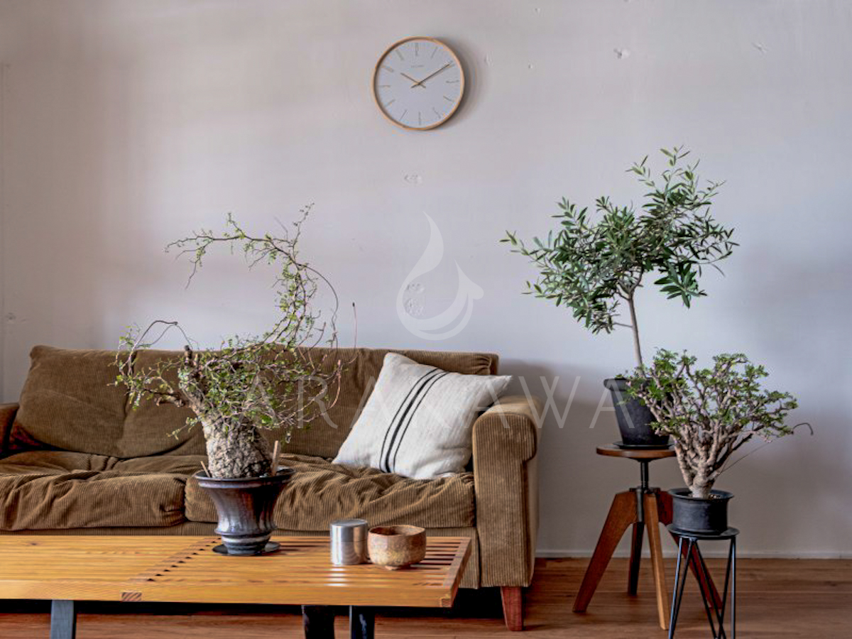 NEXTIME 掛時計 モダンクロック オランダ 静岡