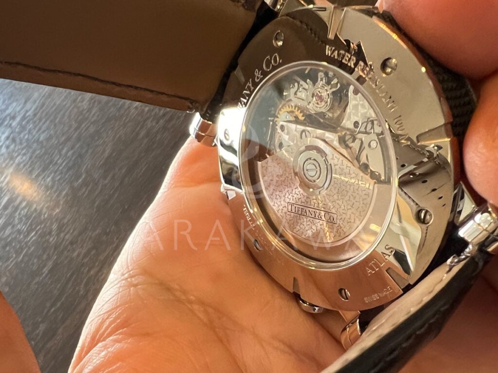 裏スケルトン
ティファニー
裏スケ
シースルーバック